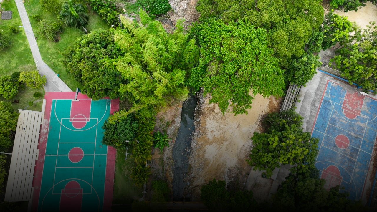 WhatsApp Image 2026 04 28 At 10.00.55 AM